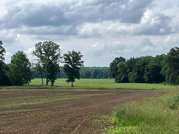 14.8 Acres of Land for Sale in McKenzie, Tennessee
