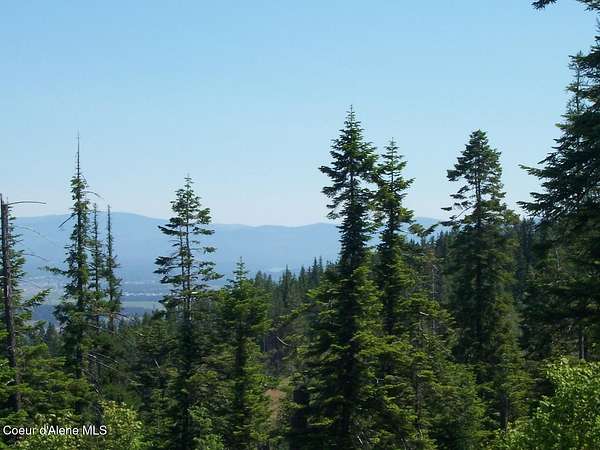 20 Acres of Recreational & Residential Land for Sale in Post Falls, Idaho