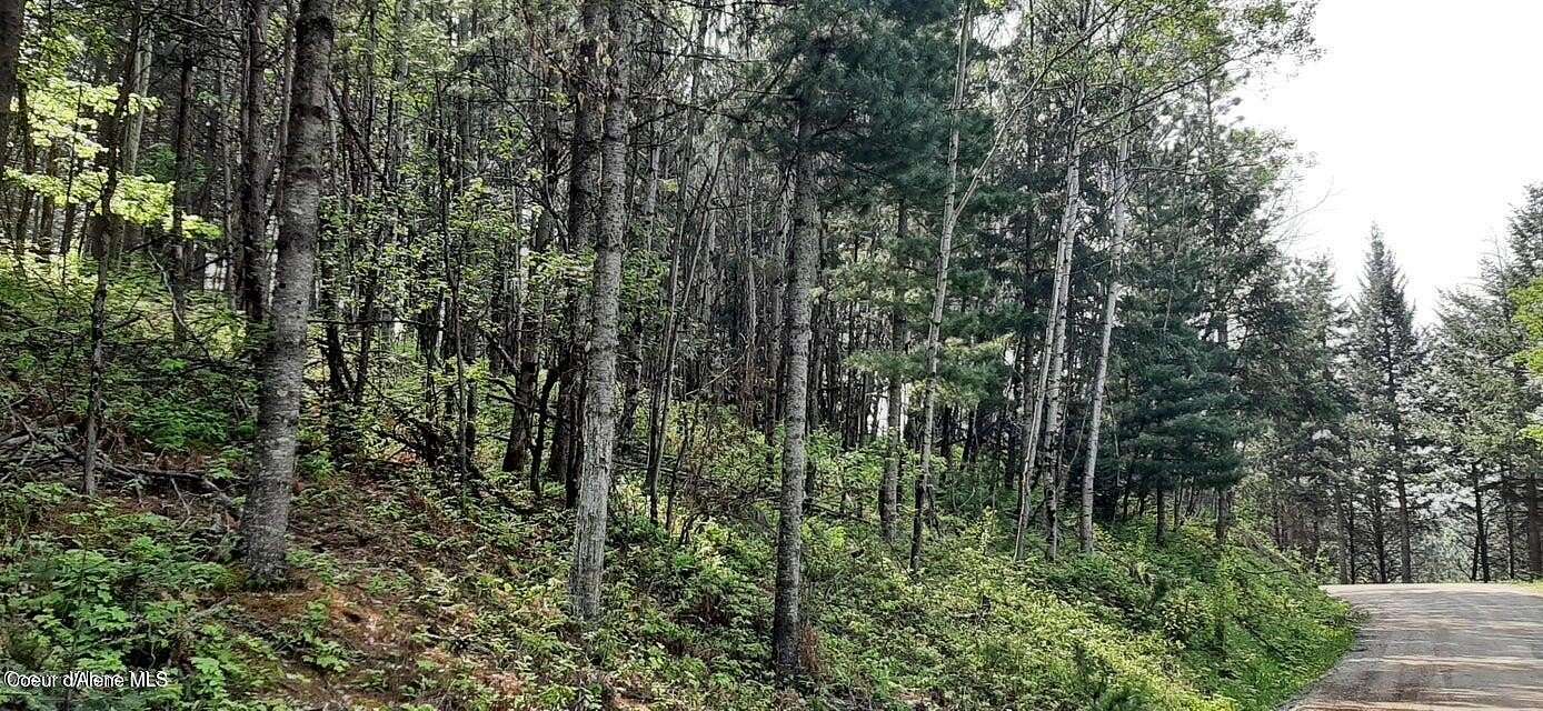2.45 Acres of Residential Land for Sale in Kellogg, Idaho