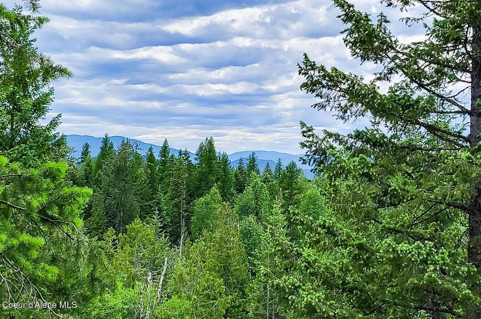 20.3 Acres of Recreational Land for Sale in Sandpoint, Idaho