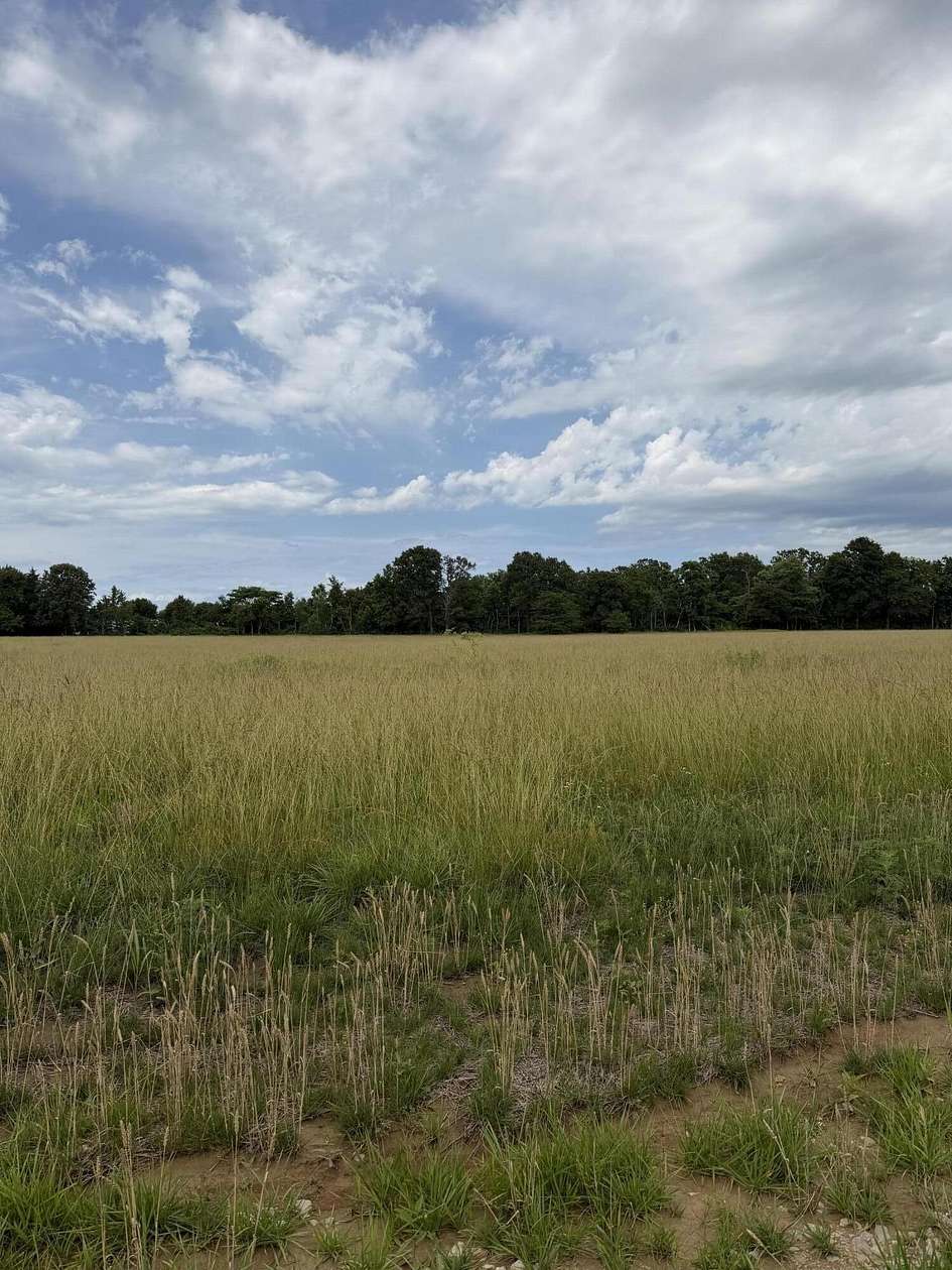 3 Acres of Land for Sale in Seymour, Missouri