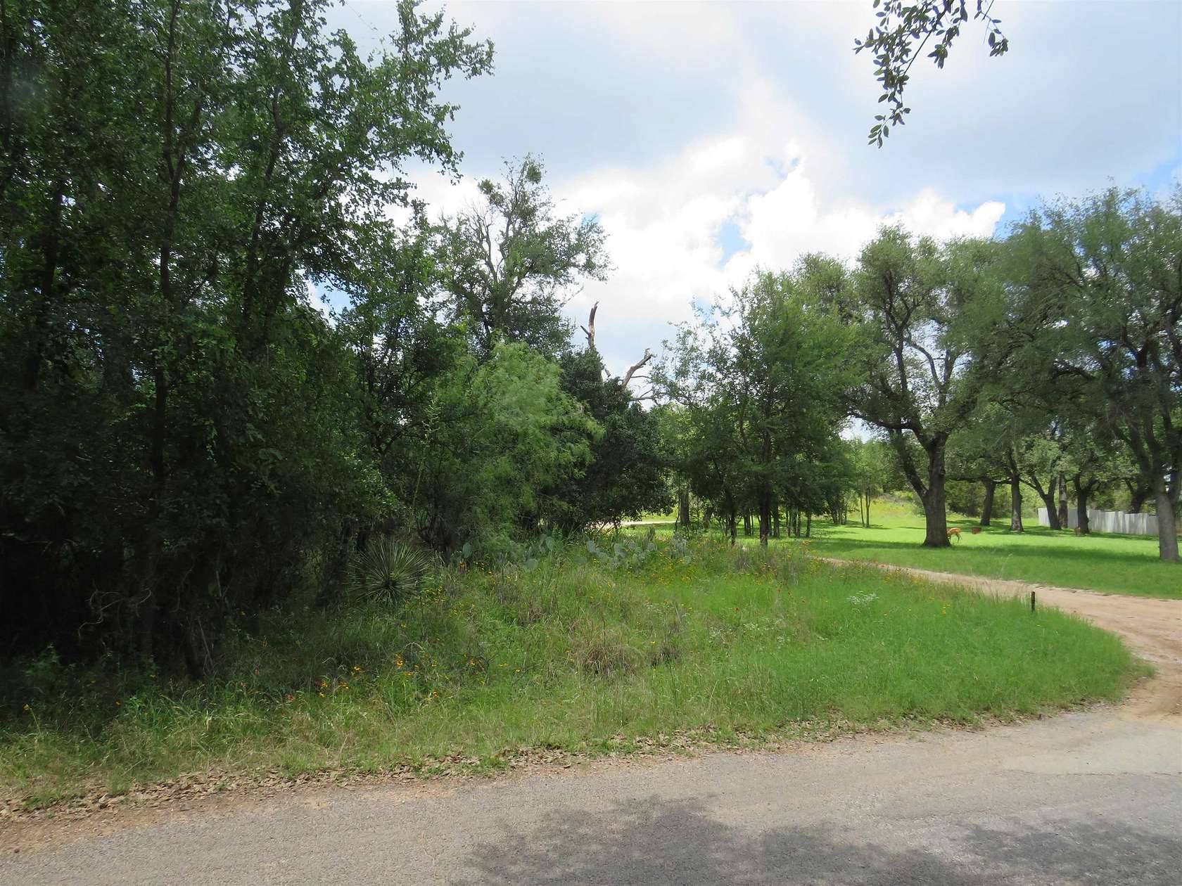 0.39 Acres of Residential Land for Sale in Burnet, Texas