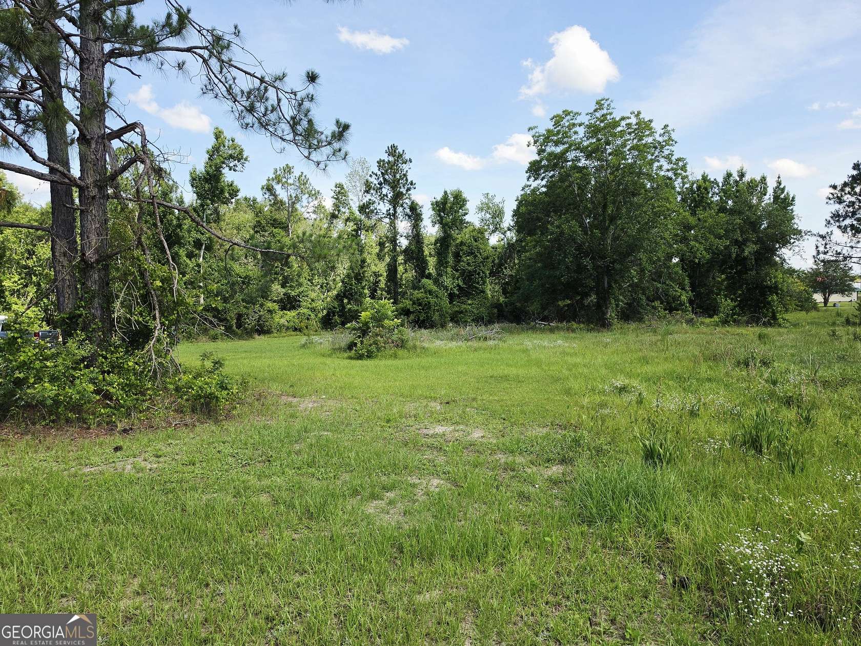3 Acres of Residential Land for Sale in Ailey, Georgia