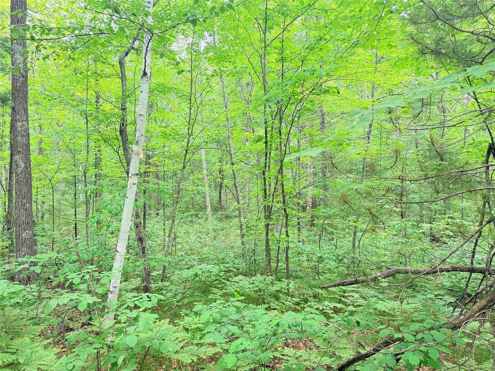 2.32 Acres of Residential Land for Sale in Stone Lake, Wisconsin