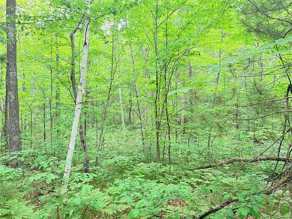 2.32 Acres of Residential Land for Sale in Stone Lake, Wisconsin