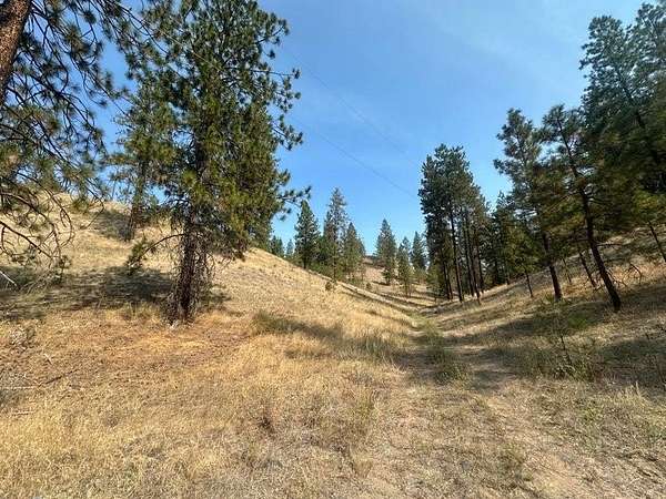 23.6 Acres of Recreational Land for Sale in Ford, Washington