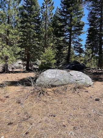 1 Acre of Land for Sale in Ponderosa, California