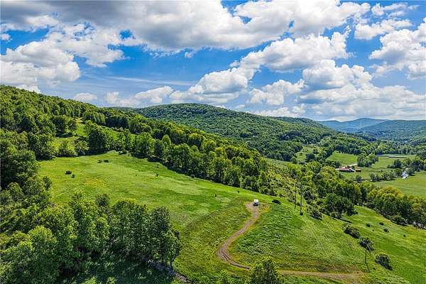 133 Acres of Recreational & Residential Land for Sale in Delhi, New York