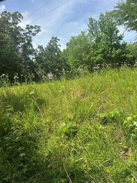 0.5 Acres of Residential Land for Sale in Buchanan, Tennessee