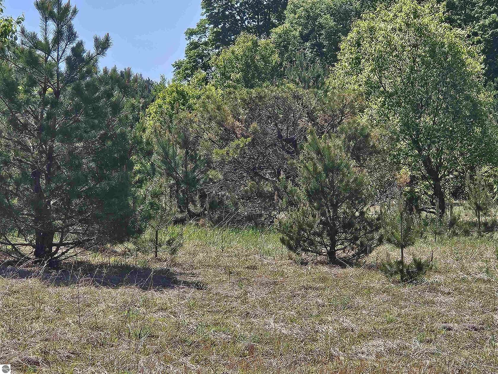 5 Acres of Land for Sale in Kalkaska, Michigan