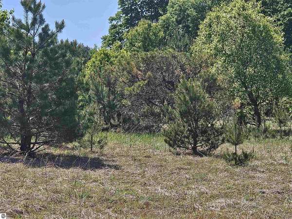 5 Acres of Land for Sale in Kalkaska, Michigan