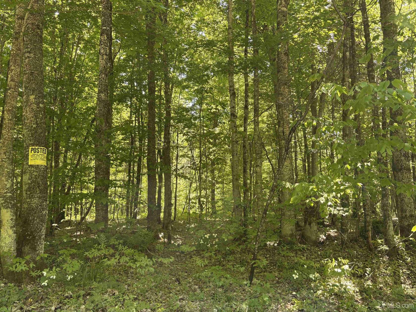 20 Acres of Recreational & Residential Land for Sale in Newberry, Michigan
