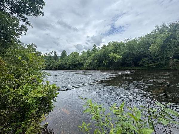 31.5 Acres of Recreational Land for Sale in Hayesville, North Carolina