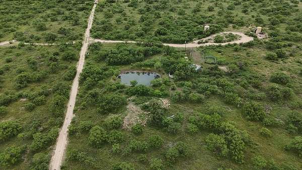 82 Acres of Land for Sale in Eldorado, Texas