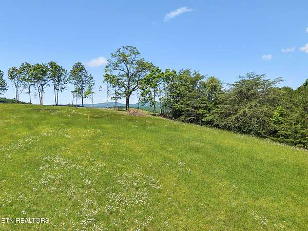 22 Acres of Recreational & Residential Land for Sale in Grandview, Tennessee