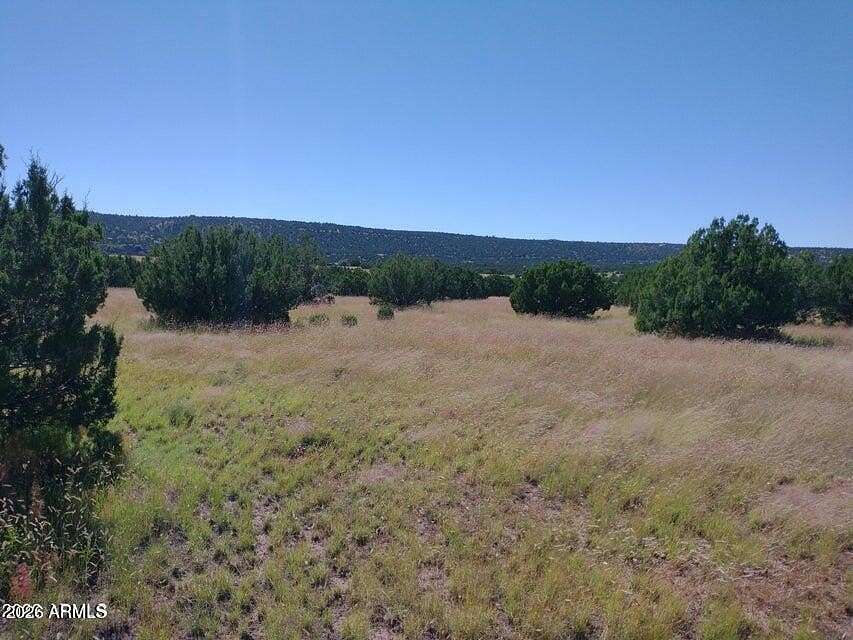1 Acre of Land for Sale in Concho, Arizona