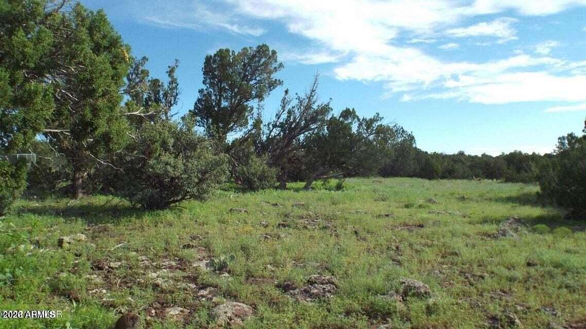 1 Acre of Land for Sale in Concho, Arizona