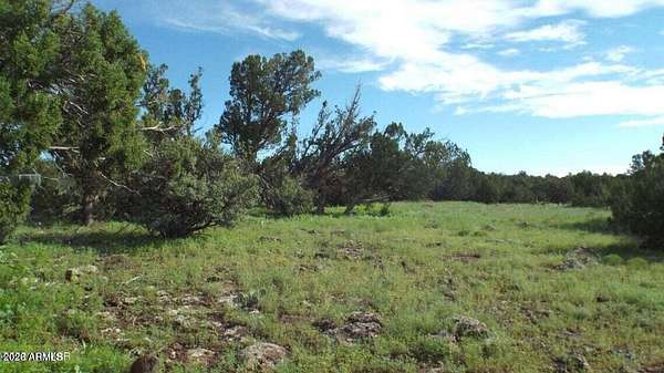 1 Acre of Land for Sale in Concho, Arizona
