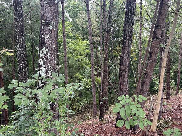 1.39 Acres of Residential Land for Sale in Cleveland, Tennessee