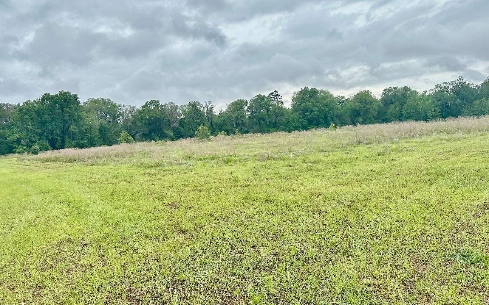 Land for Sale in Lake Butler, Florida