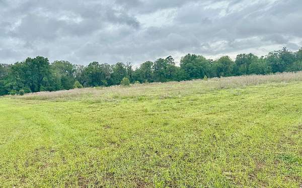 Land for Sale in Lake Butler, Florida