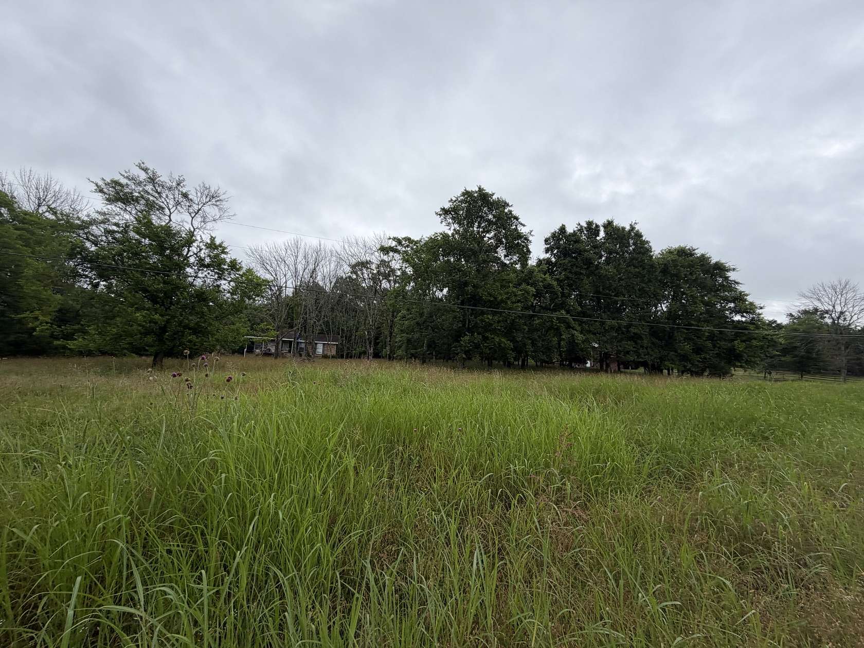 11.6 Acres of Land for Sale in Mount Juliet, Tennessee