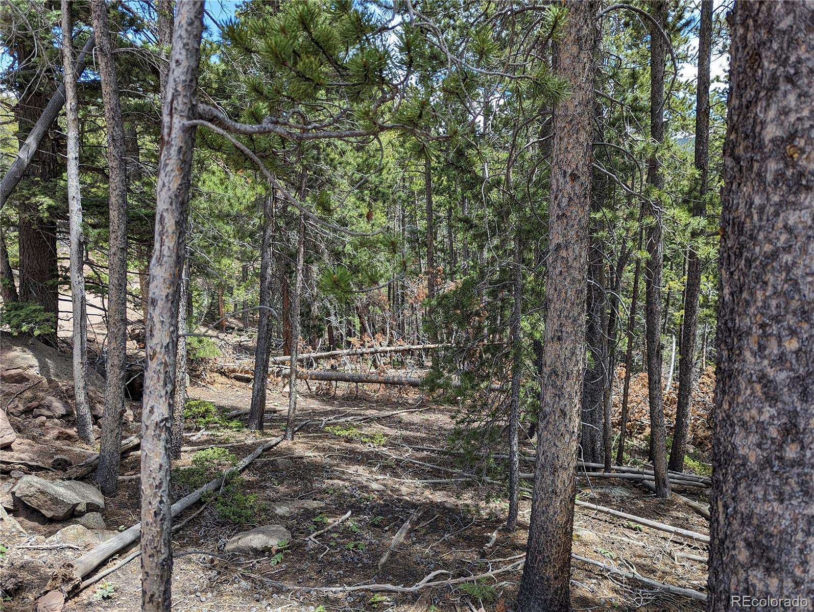 2 Acres of Residential Land for Sale in Fort Garland, Colorado