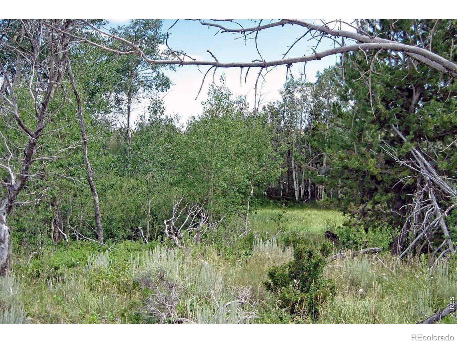 40 Acres of Recreational Land for Sale in Laramie, Colorado