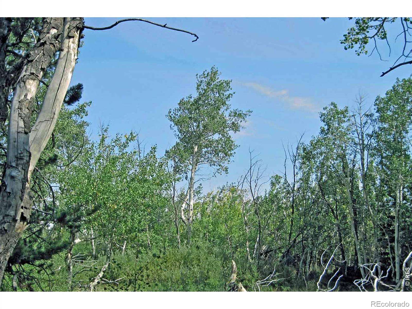 40 Acres of Recreational Land for Sale in Laramie, Colorado