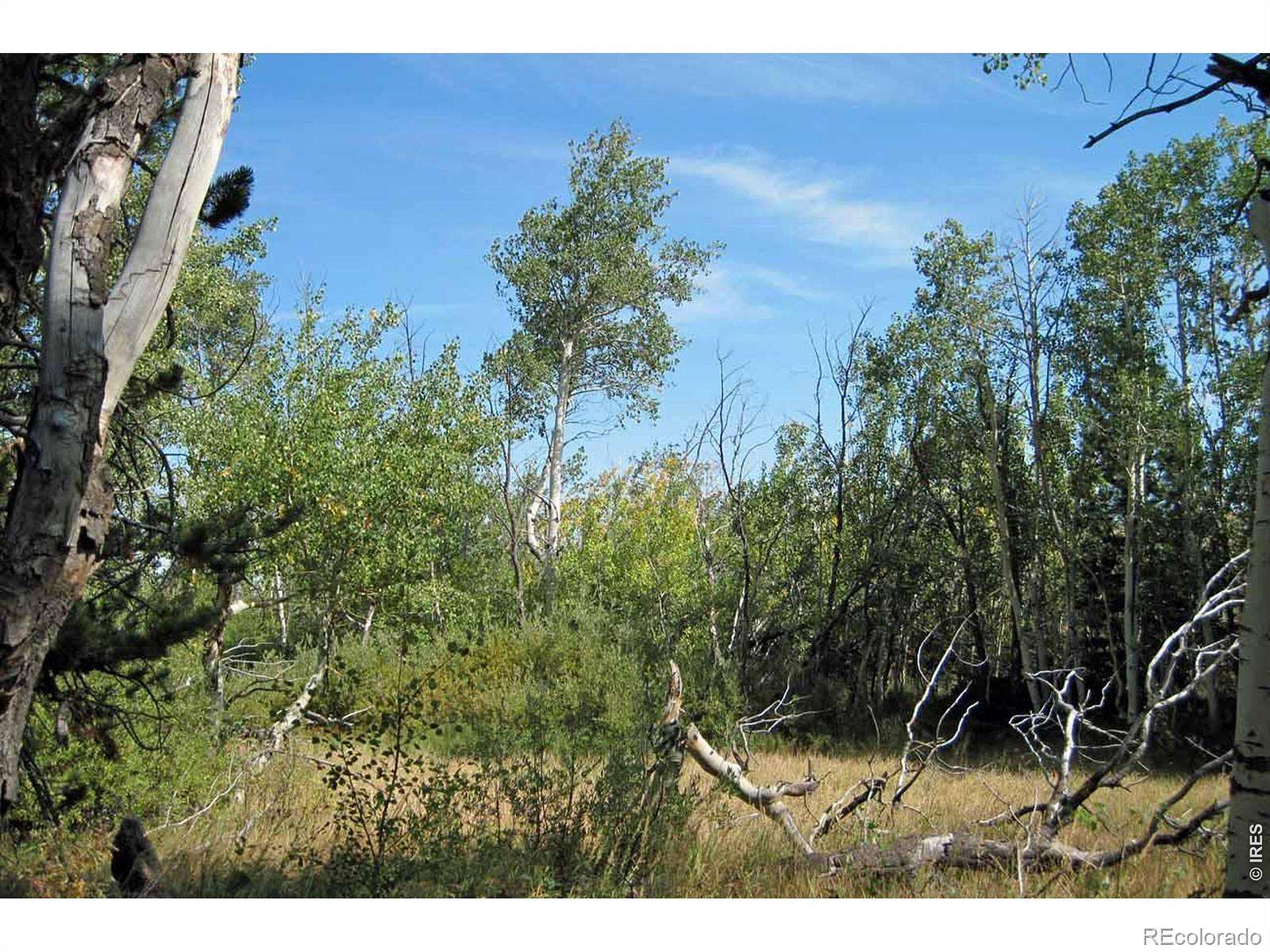 40 Acres of Recreational Land for Sale in Laramie, Colorado