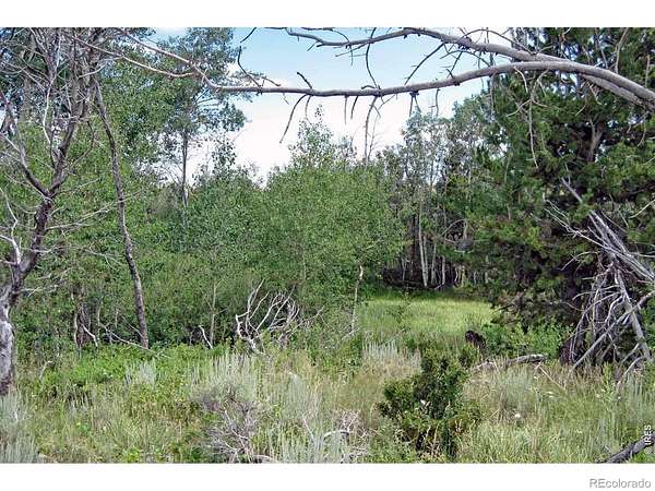 40 Acres of Recreational Land for Sale in Laramie, Colorado