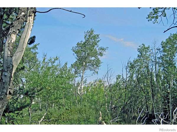 40 Acres of Recreational Land for Sale in Laramie, Colorado
