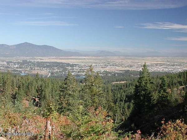 40 Acres of Recreational & Residential Land for Sale in Post Falls, Idaho