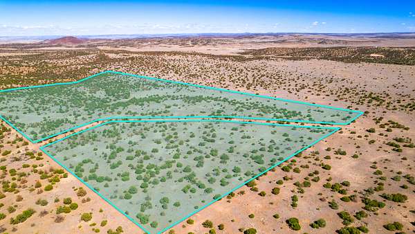 78 Acres of Recreational & Residential Land for Sale in Quemado, New Mexico