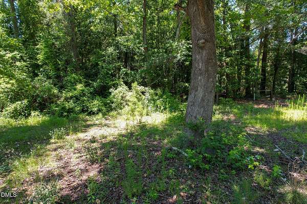 0.41 Acres of Residential Land for Sale in Fair Bluff, North Carolina