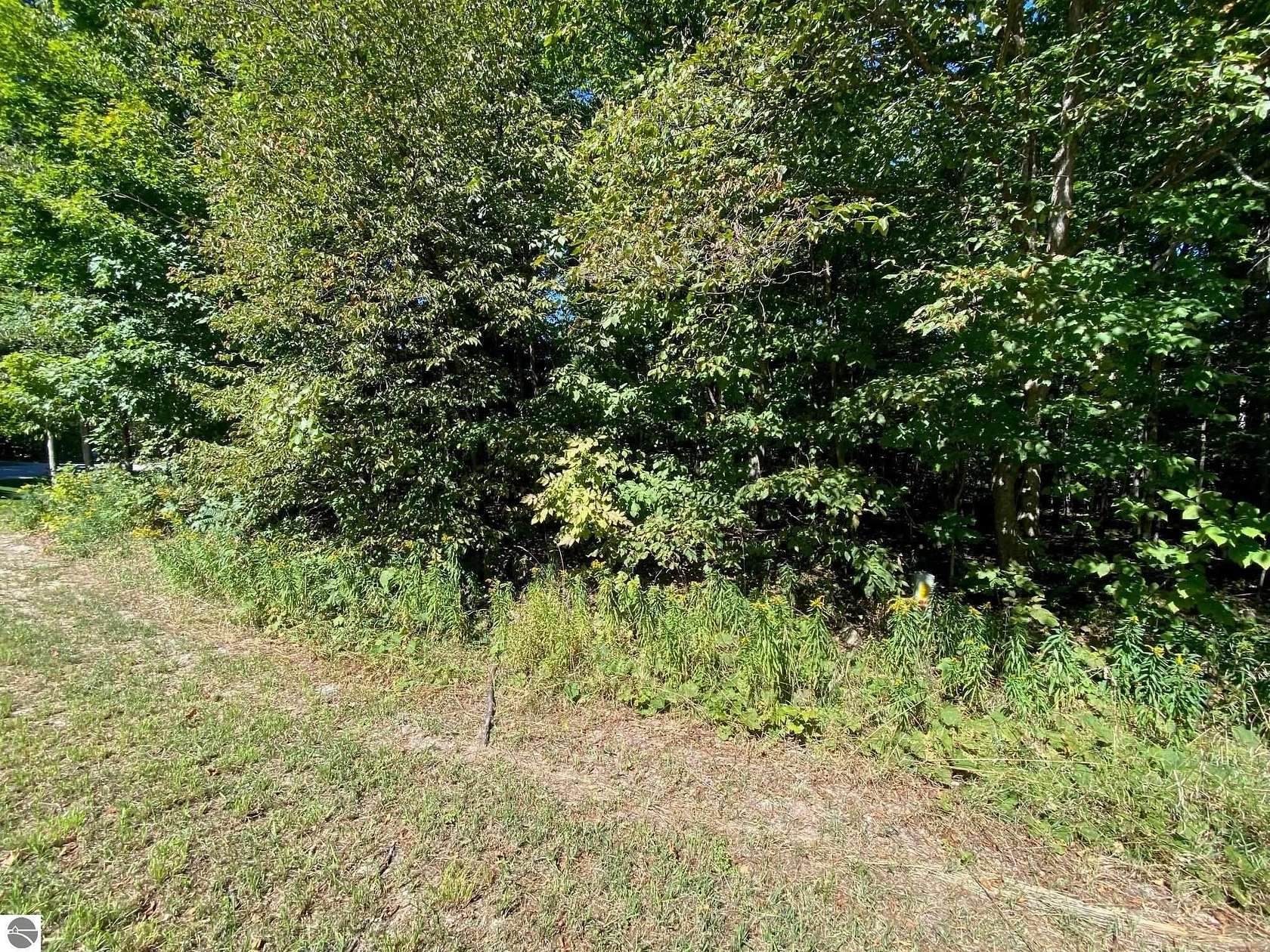 0.32 Acres of Residential Land for Sale in Cedar, Michigan