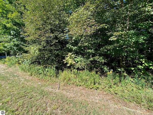 0.32 Acres of Residential Land for Sale in Cedar, Michigan