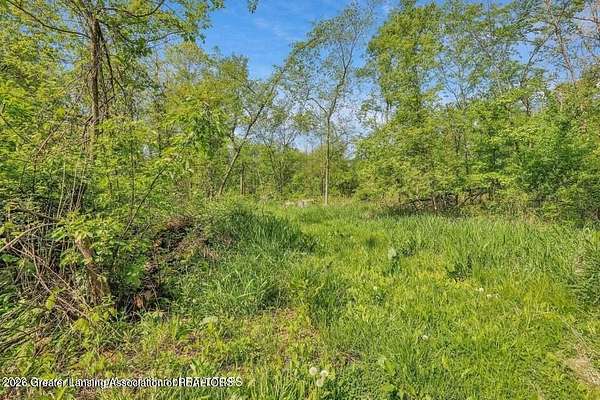 10 Acres of Recreational & Residential Land for Sale in Stockbridge, Michigan