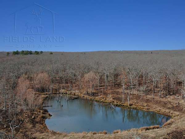 80 Acres of Recreational Land for Sale in Kiowa, Oklahoma