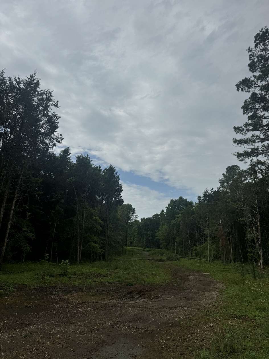 10 Acres of Residential Land for Sale in Lewisburg, Tennessee