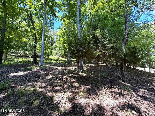 3 Acres of Residential Land for Sale in Mooresburg, Tennessee