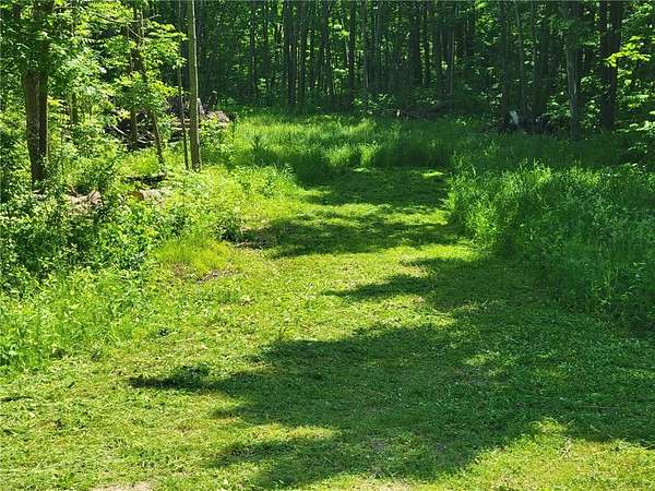 7.3 Acres of Residential Land for Sale in Maple Grove Township, Minnesota