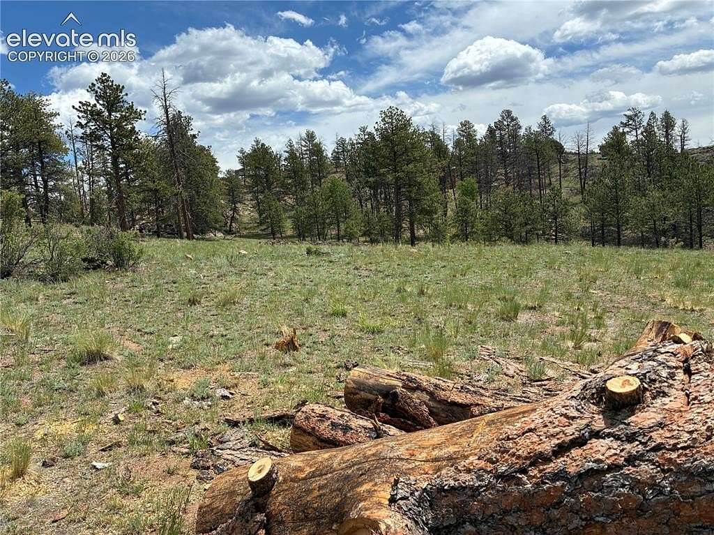 4 Acres of Residential Land for Sale in Florissant, Colorado
