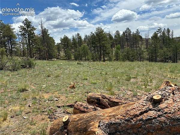 4 Acres of Residential Land for Sale in Florissant, Colorado