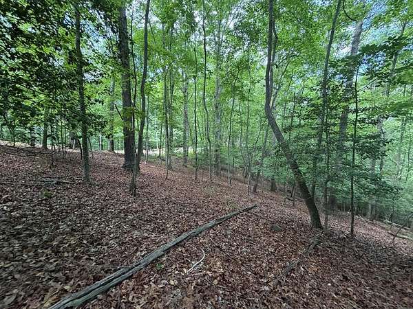 0.6 Acres of Land for Sale in Ellijay, Georgia