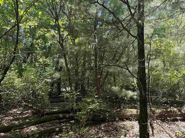 5 Acres of Residential Land for Sale in Wisconsin Dells, Wisconsin