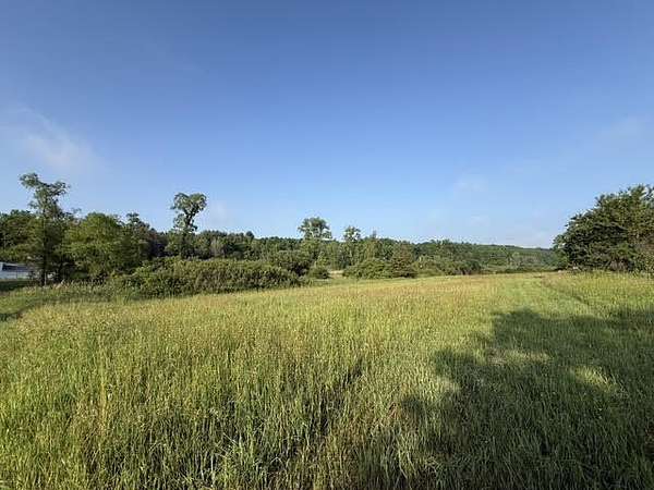 23.8 Acres of Recreational Land for Sale in Nashville, Michigan