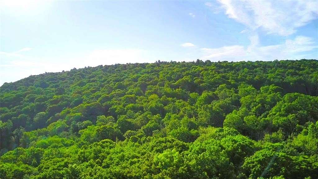 6.25 Acres of Residential Land for Sale in Vestal, New York