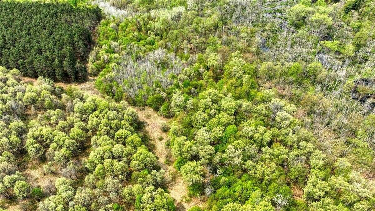 22.5 Acres of Land for Sale in Hancock, Wisconsin