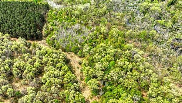 22.5 Acres of Land for Sale in Hancock, Wisconsin